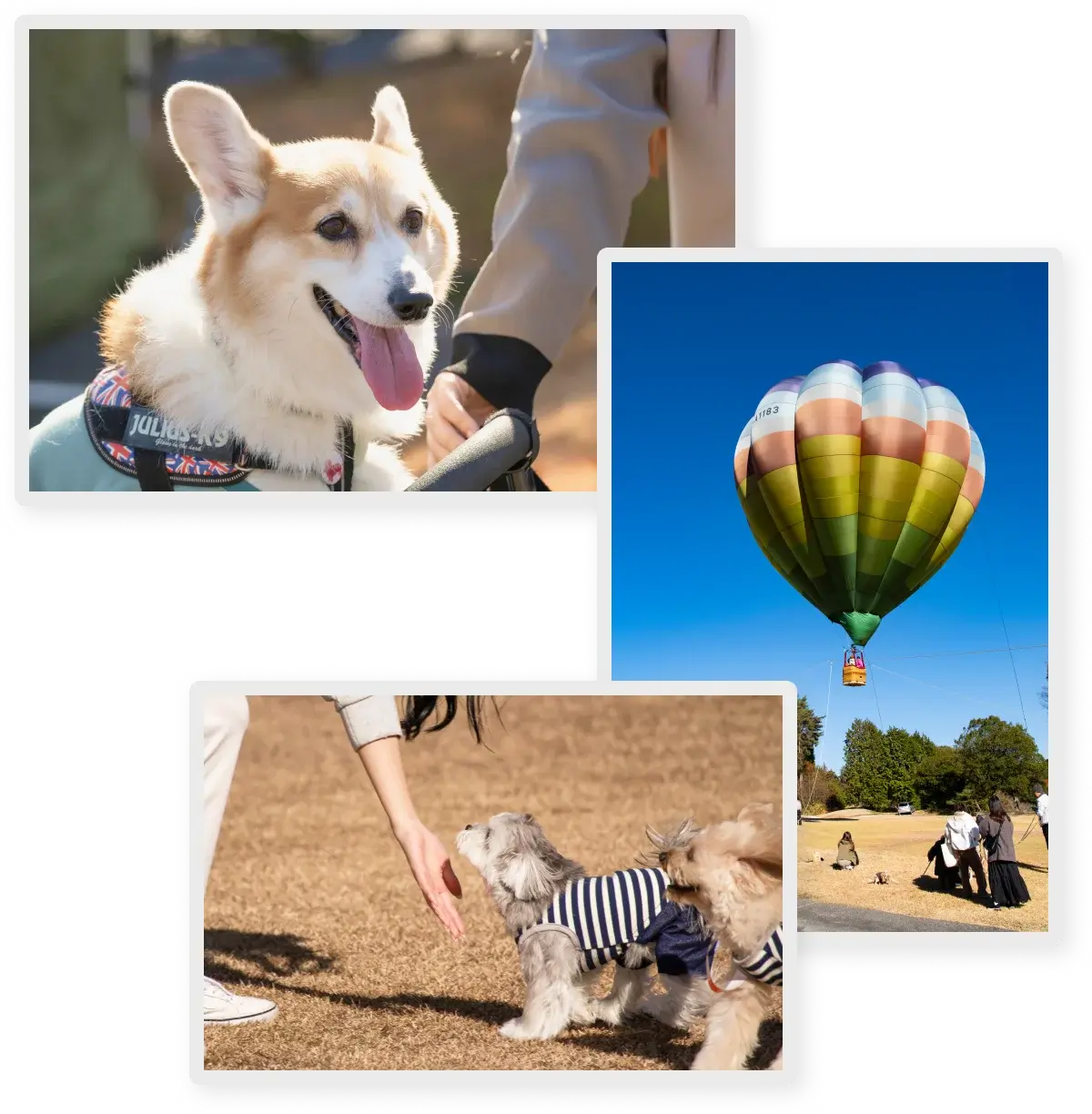 イベント会場の雰囲気