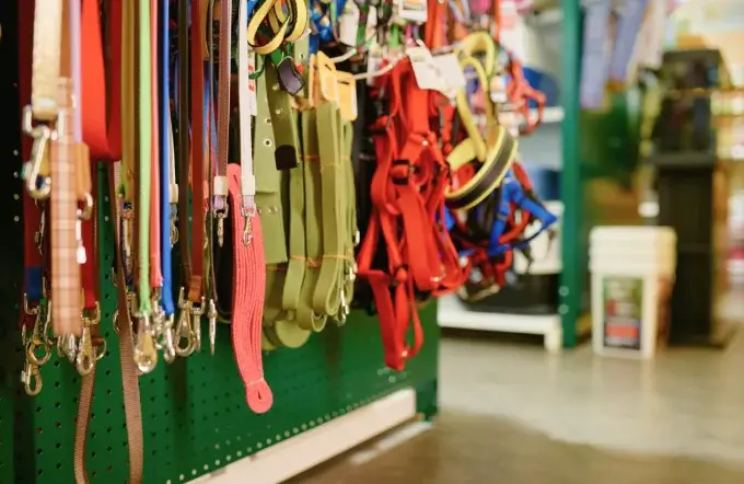 アパレル・アクセサリー