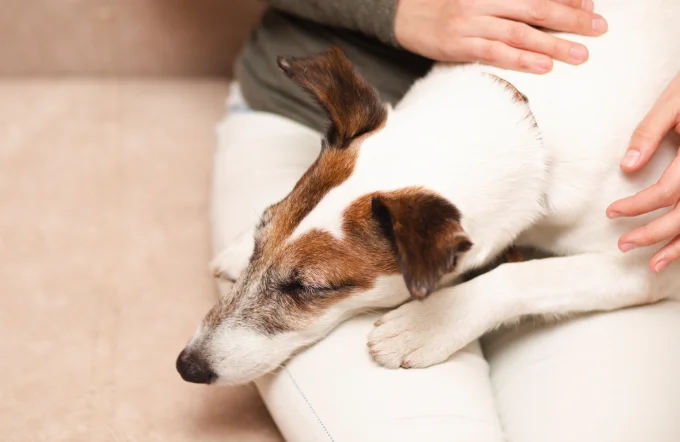 ケア・サービス