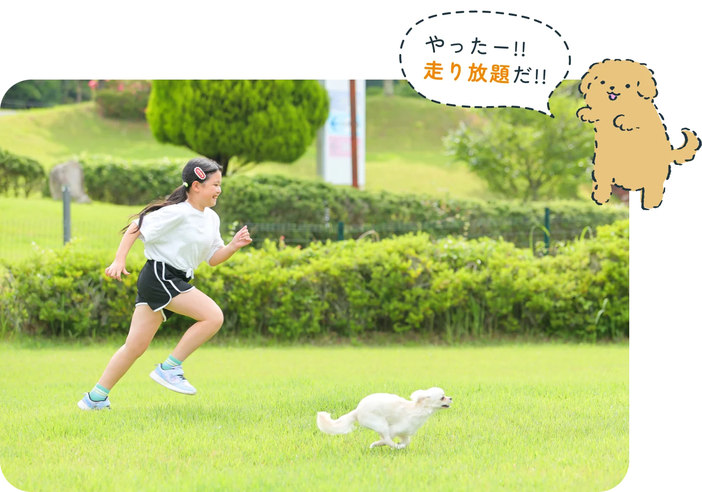 特設ドッグラン