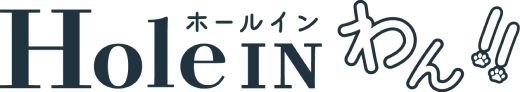 ホールインわん!!
