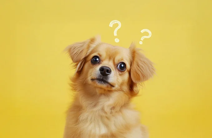 その他・ご相談