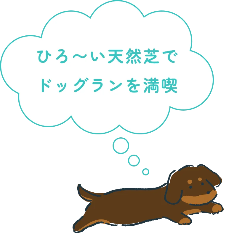 前回イベントの様子（ドッグラン）