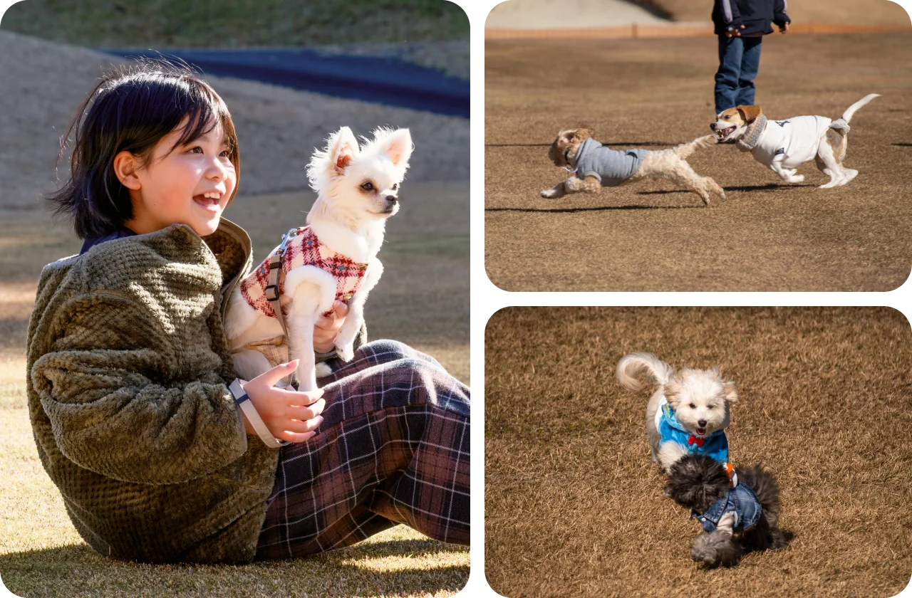 ドッグランでの様子