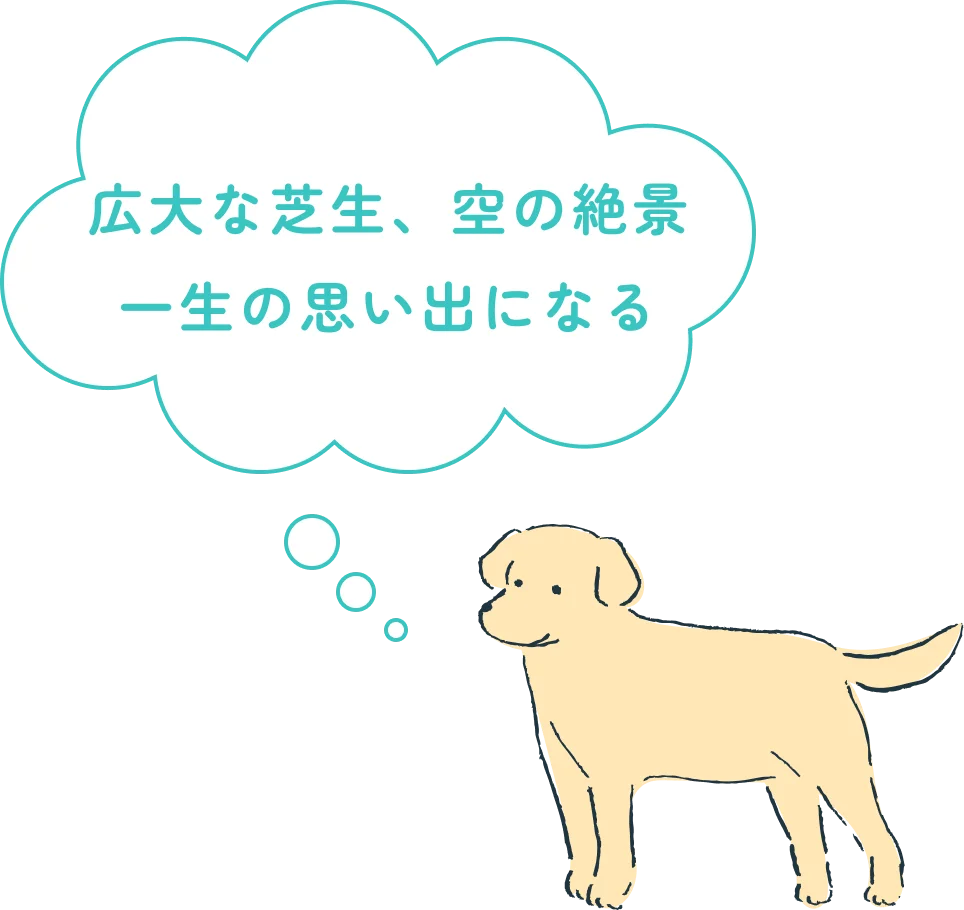 前回イベントの様子（気球と芝生）