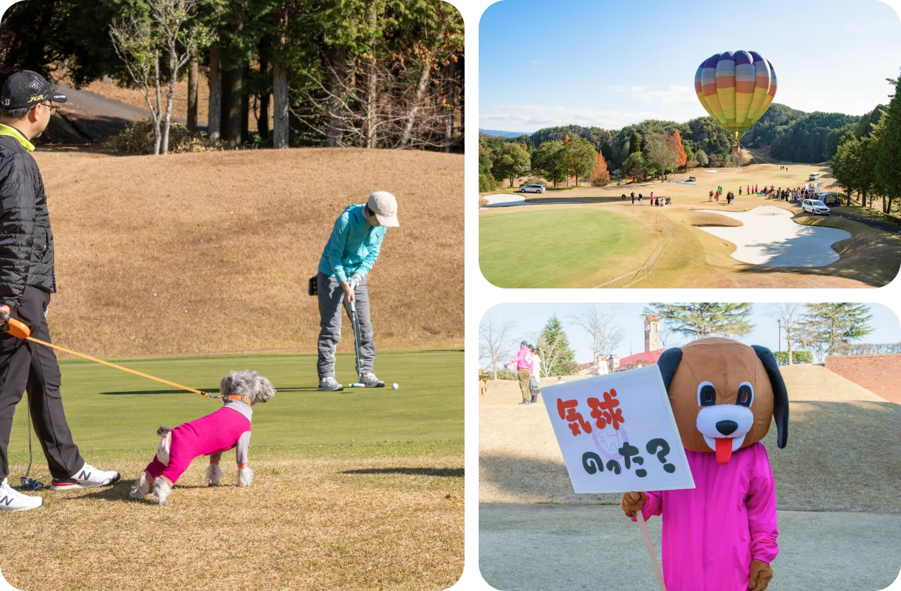 気球と芝生の様子