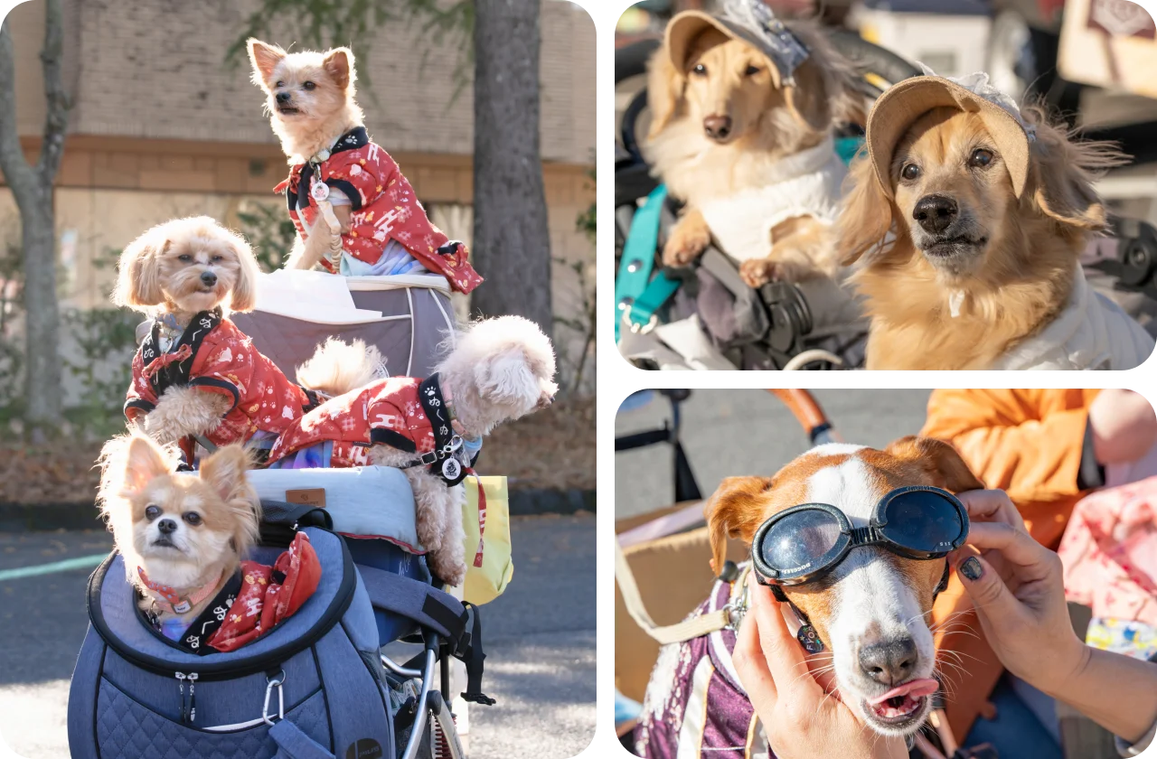 集合写真の様子