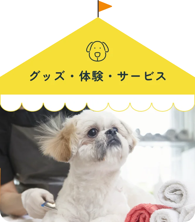 グッズ・体験・サービス