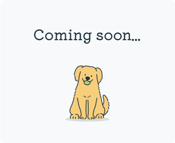 ajiwai.petのイメージ