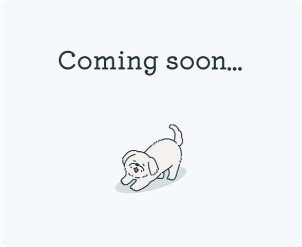 はなこのさんぽのイメージ