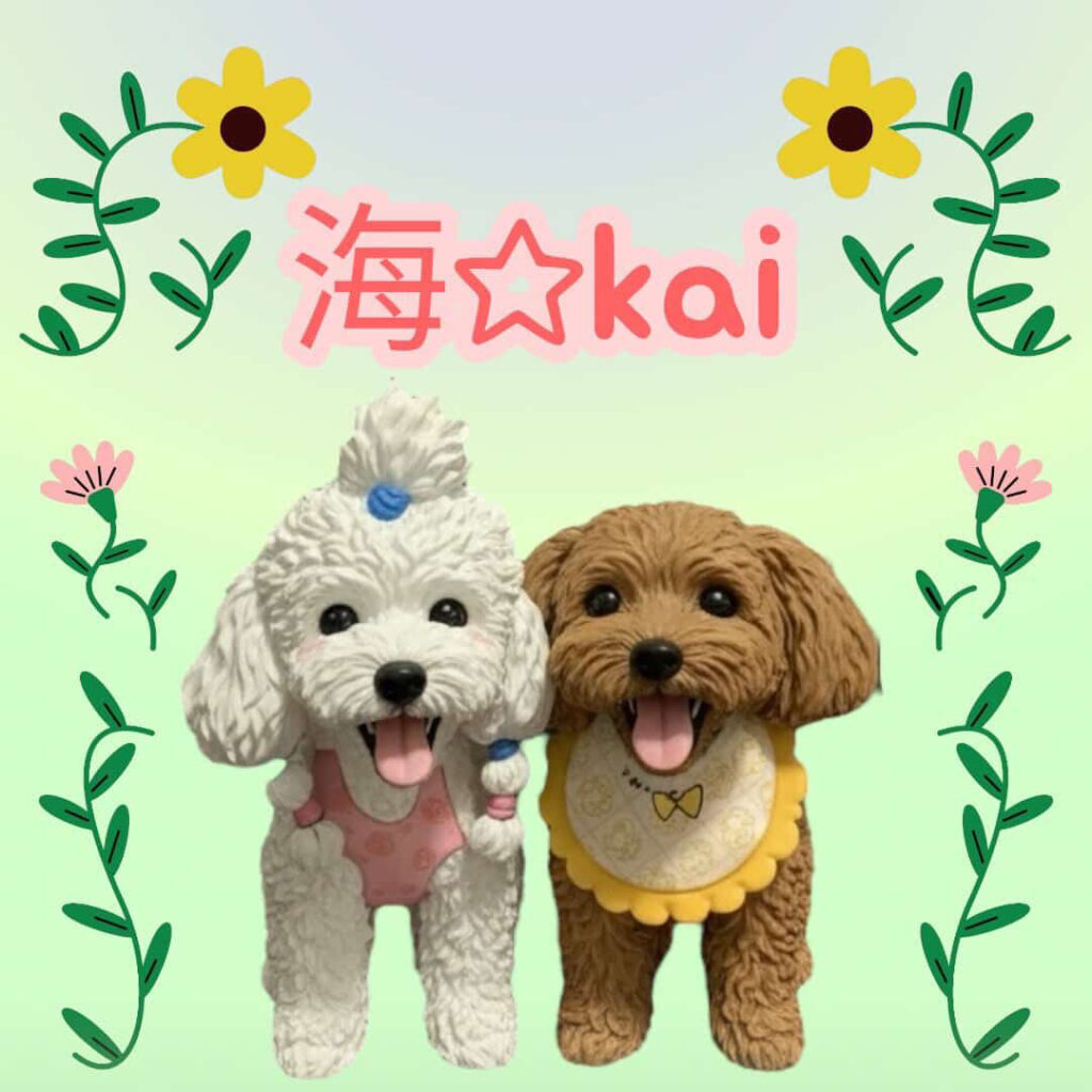 海☆kaiのイメージ