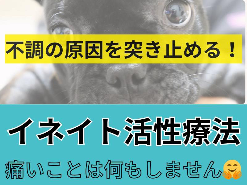 CorSanaのイメージ