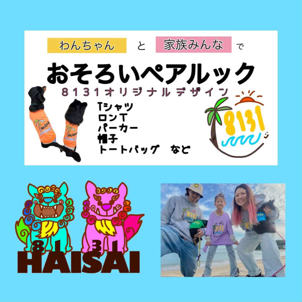 8131のイメージ