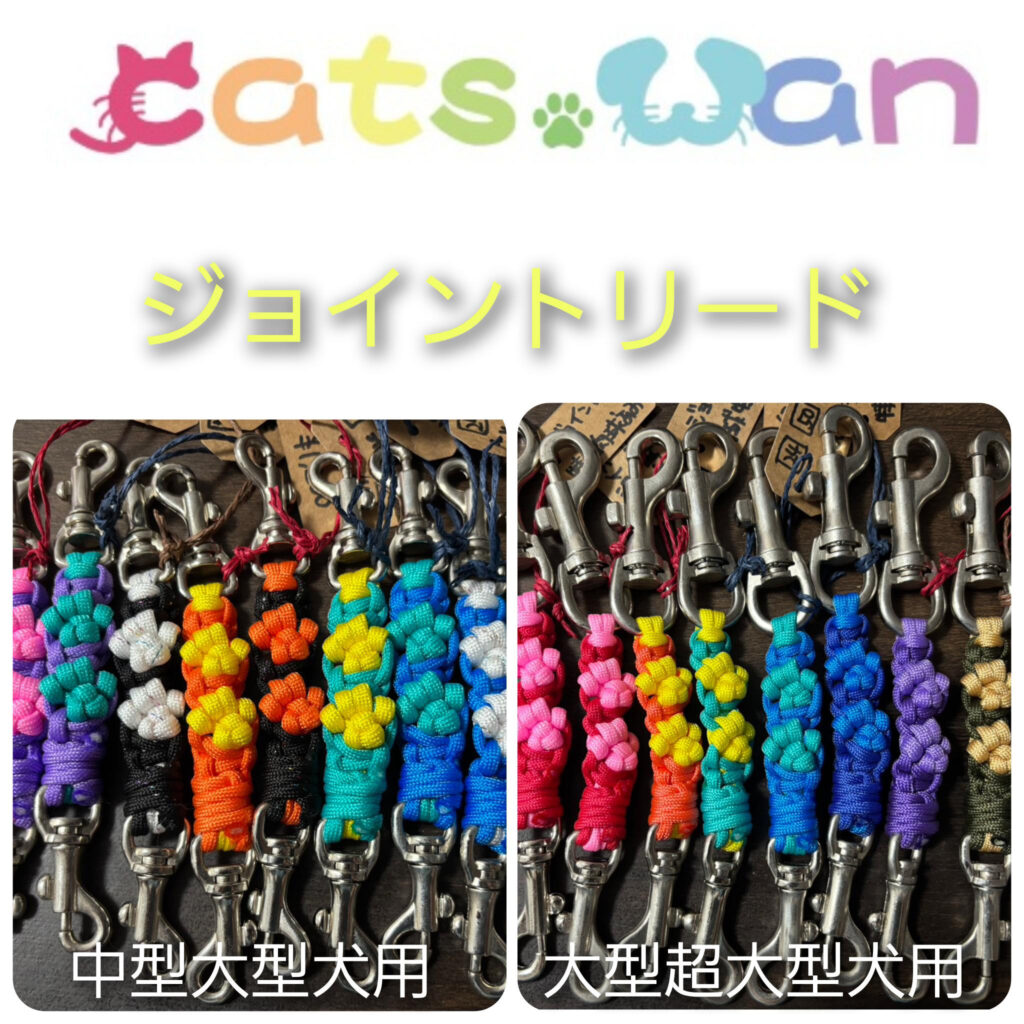 cats.wanのイメージ