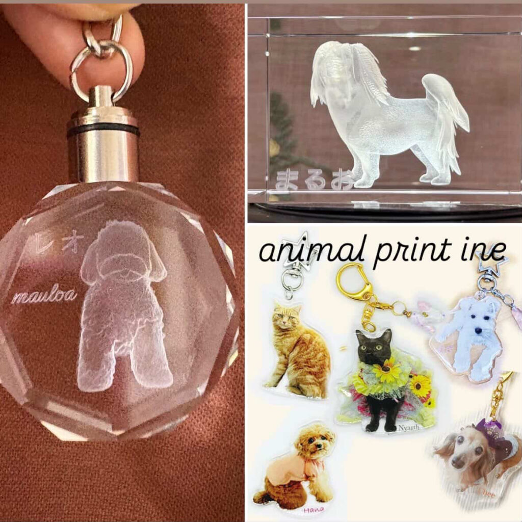 animal print ineのイメージ