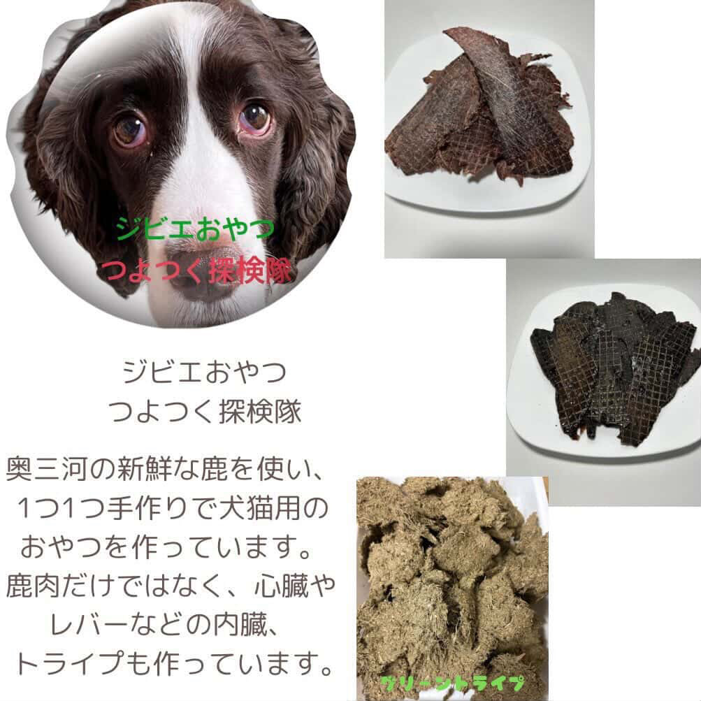 つよつく探検隊のイメージ