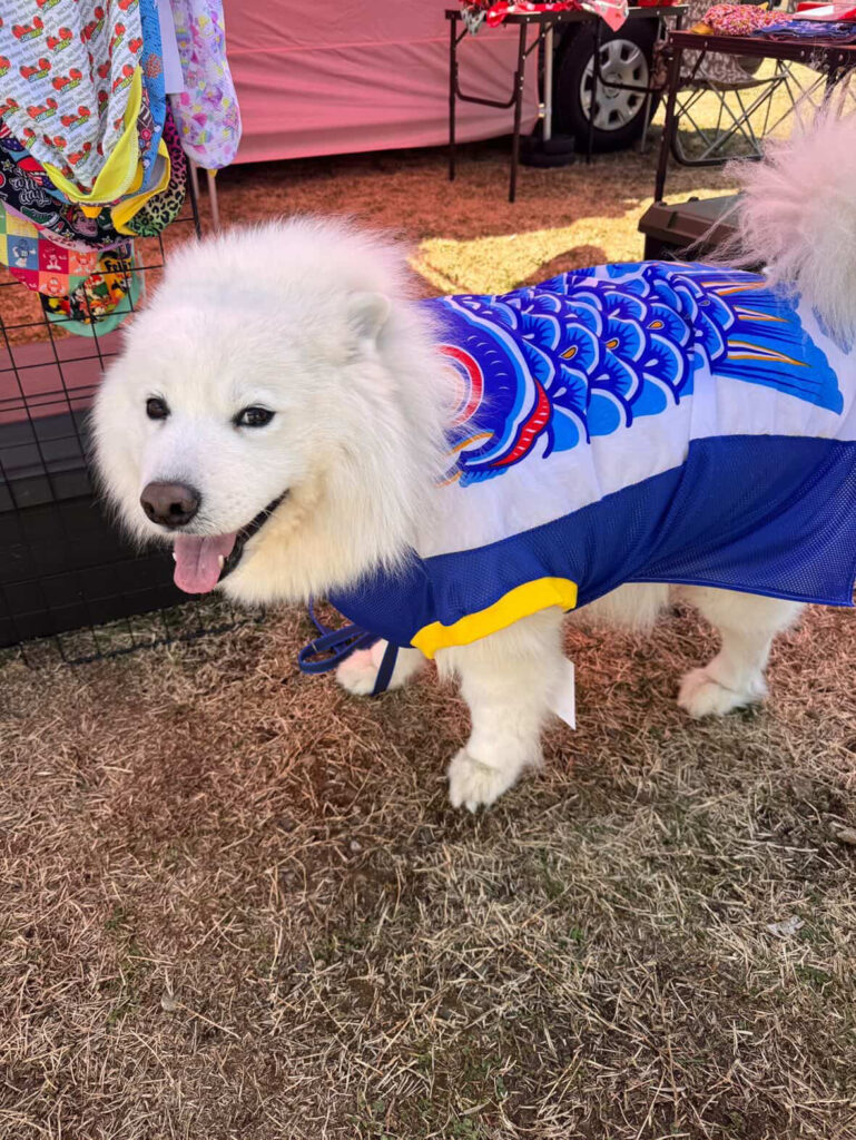 retriever.sewingのイメージ
