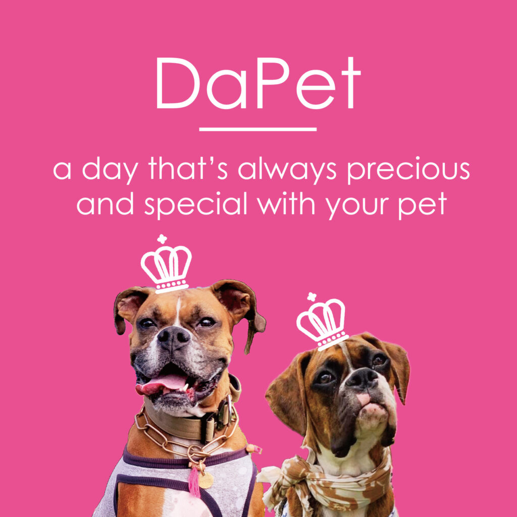 DaPetのイメージ