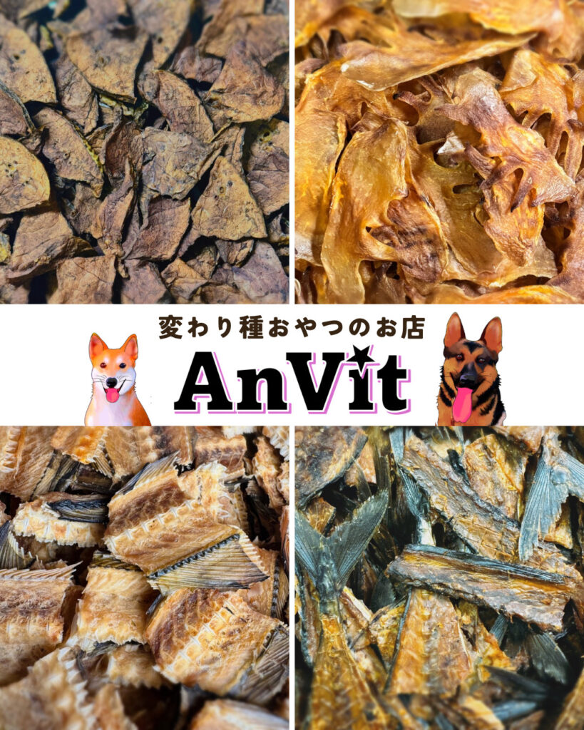 AnVitのイメージ