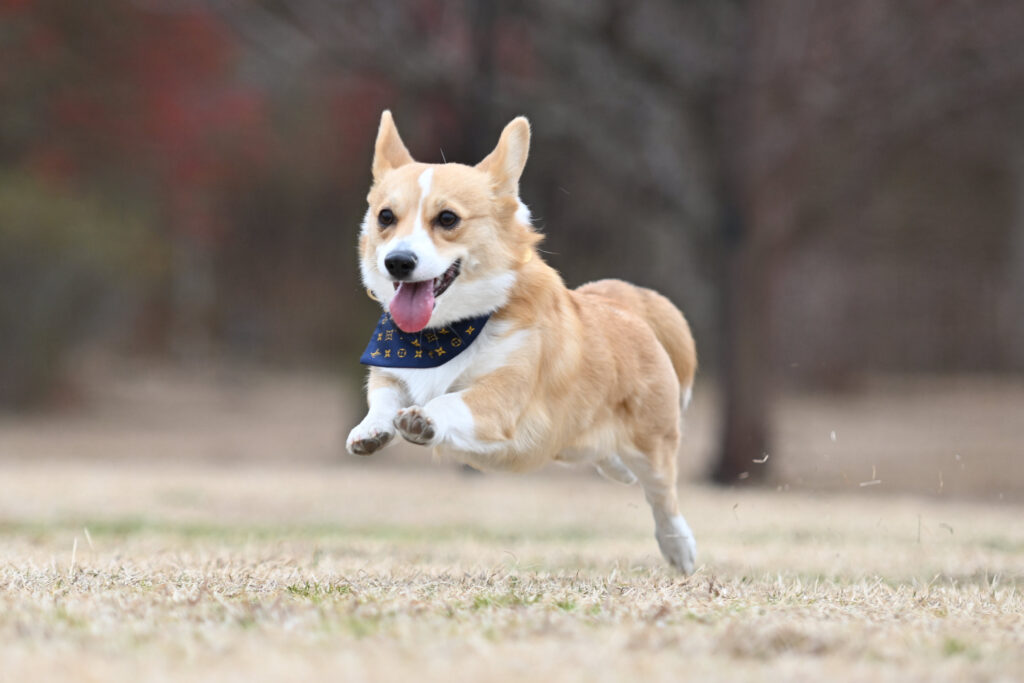 ワンシーンフォトのイメージ